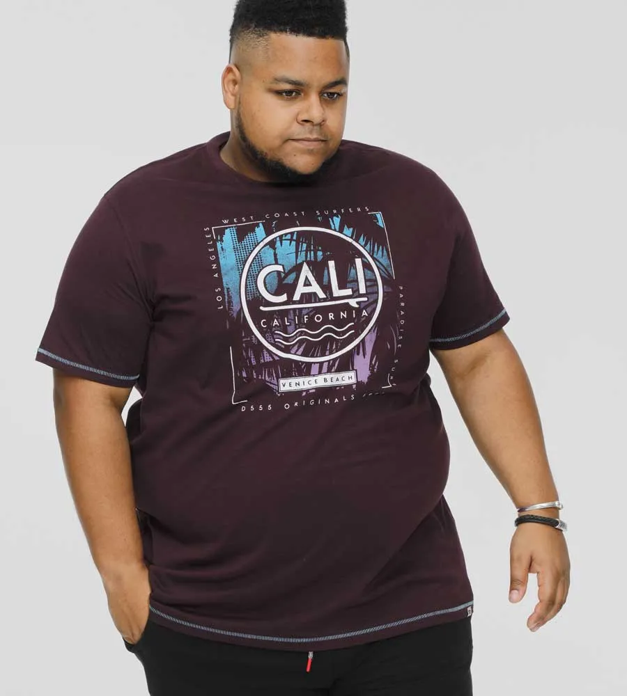 D555 Big Mens California Surf Printed T-Shirt (NOVA)