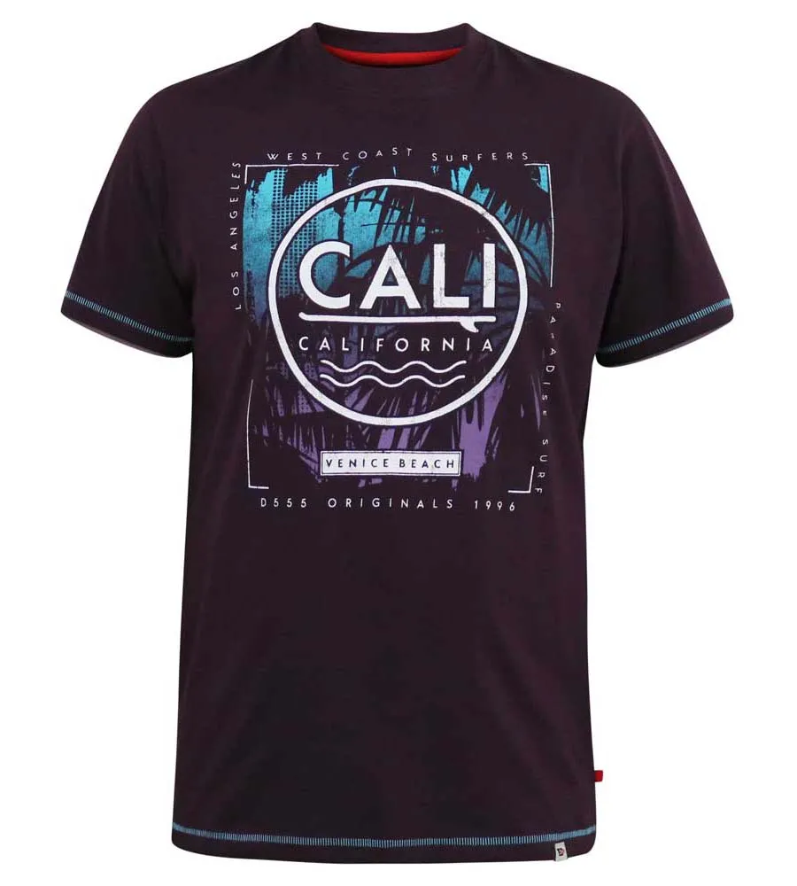 D555 Big Mens California Surf Printed T-Shirt (NOVA)