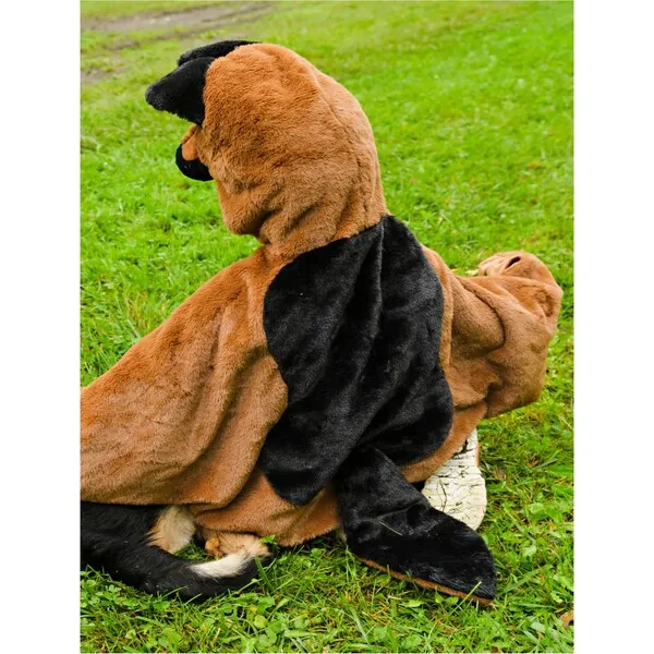 Great Pretenders Veterinarian and Dog Cape Dress up Bundle, 2pcs, Size 4-6